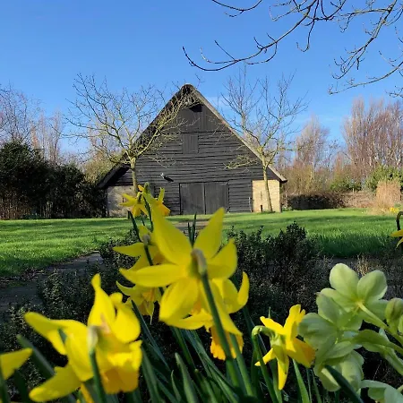 Noorderhaecks & Apartament 't Horntje
