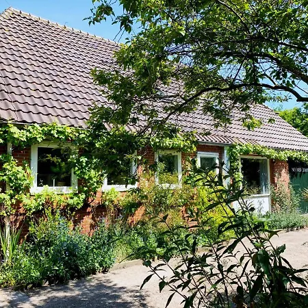 Noorderhaecks & 't Horntje