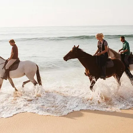 Apartament Noorderhaecks & 't Horntje