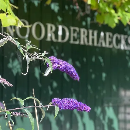 Noorderhaecks & Apartamento *