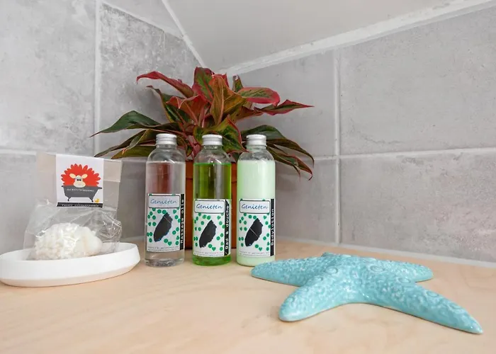 Noorderhaecks Suites&apartment