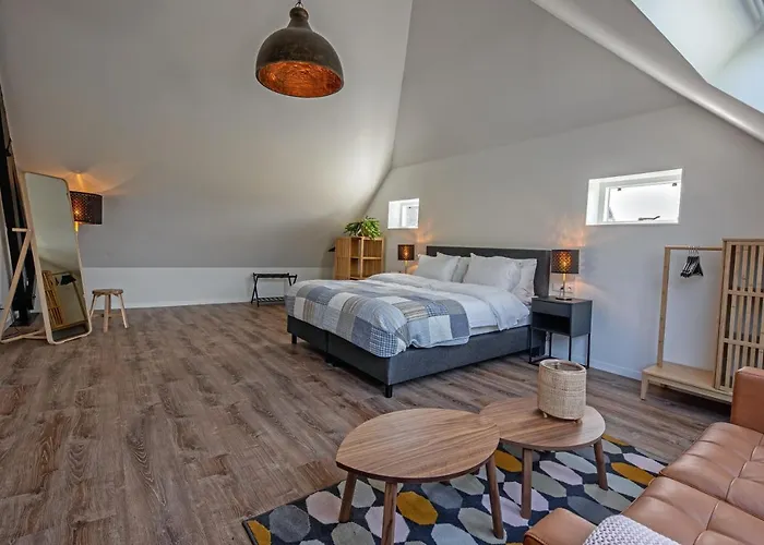 Noorderhaecks Suites&apartment *