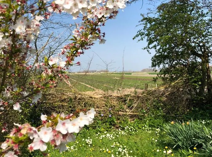 Appartement Noorderhaecks Suites&apartment *