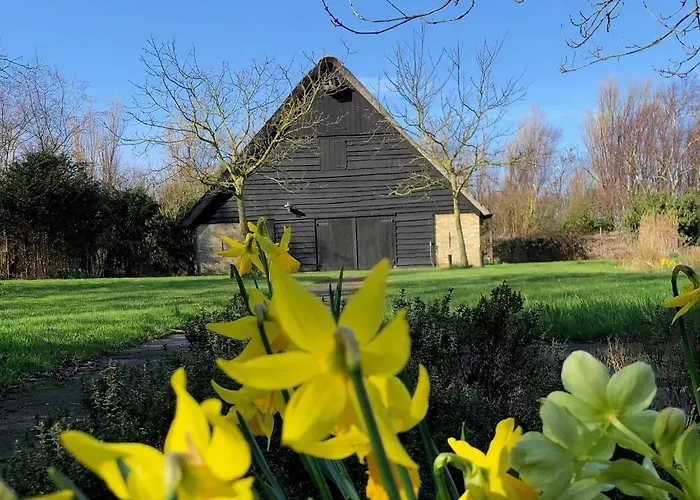 Noorderhaecks Suites&apartment Appartement 't Horntje