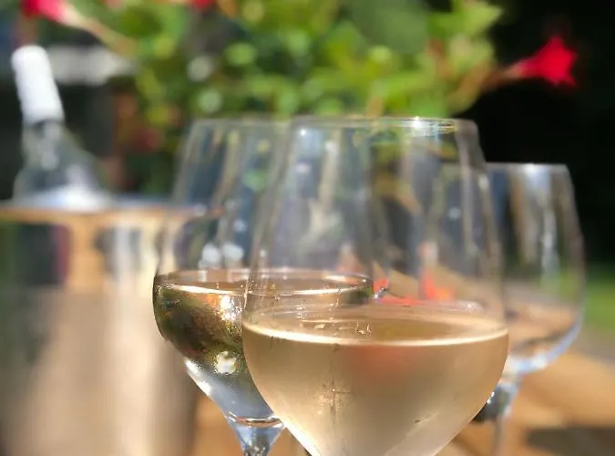 Noorderhaecks Suites&apartment 't Horntje