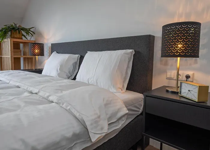 Noorderhaecks Suites&apartment * 't Horntje