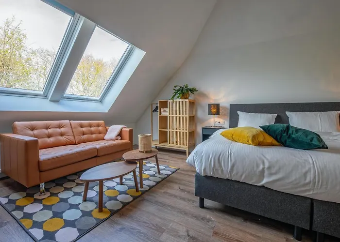 Appartement Noorderhaecks Suites&apartment *