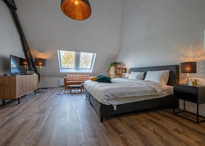 Noorderhaecks Suites&apartment Appartement *