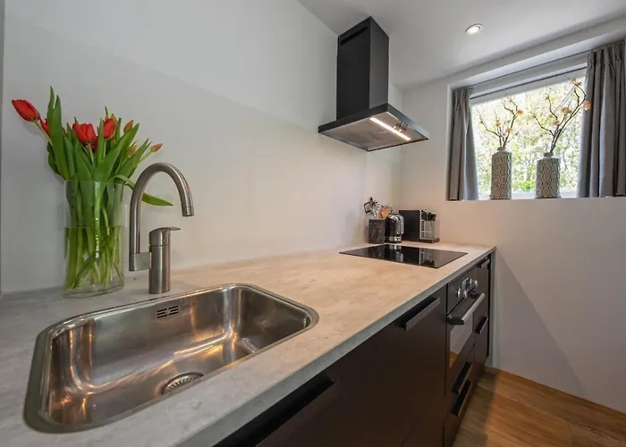 Noorderhaecks Suites&apartment *