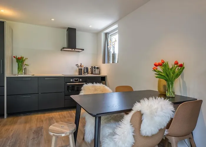 Noorderhaecks Suites&apartment Appartement *