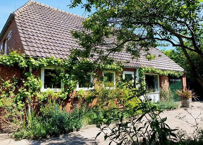 Noorderhaecks Suites&apartment 't Horntje