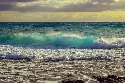 Noorderhaecks Suites&apartment *