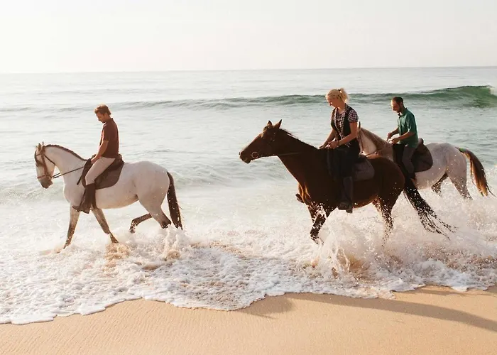 Appartement Noorderhaecks Suites&apartment 't Horntje