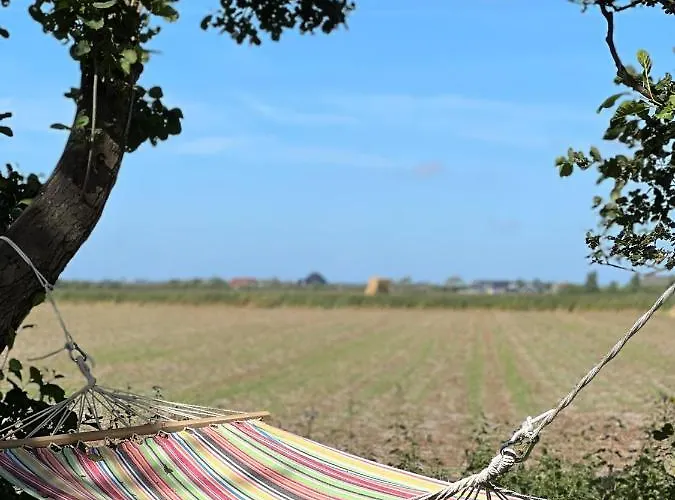 Noorderhaecks Suites&apartment Appartement 't Horntje