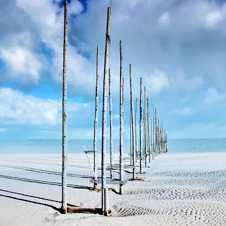 Noorderhaecks Suites&apartment Appartement