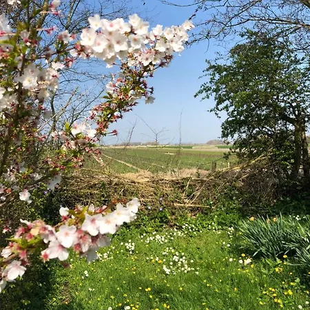 Appartement Noorderhaecks & *