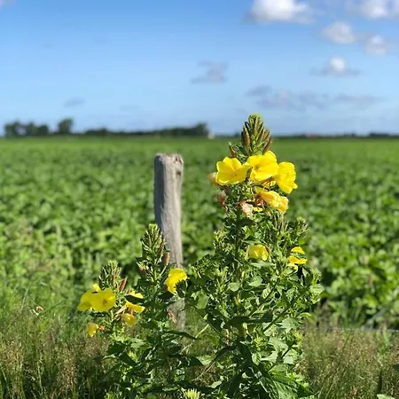 Appartement Noorderhaecks Suites&apartment *